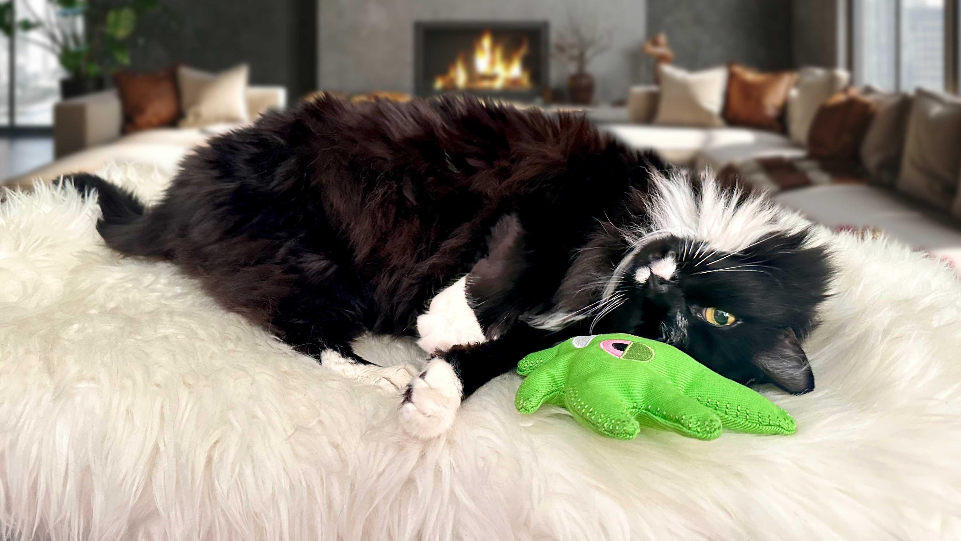 Stash-with-leaf-toy - Cloud Cat