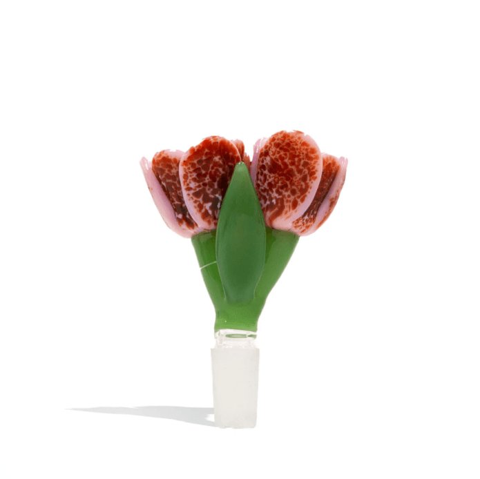 14MM DOUBLE PINK TULIP BOWL - Cloud Cat