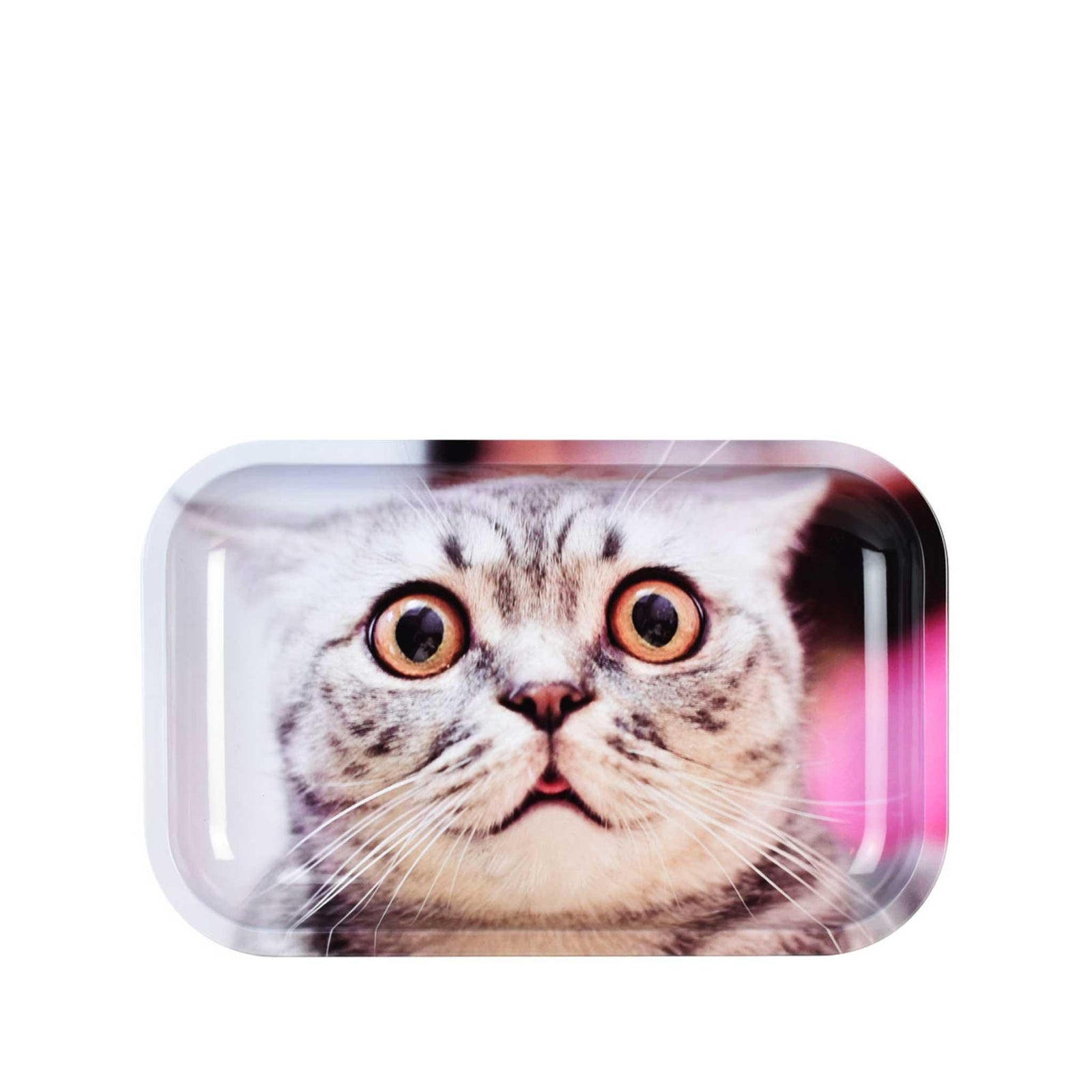 PULSAR STONED CAT ROLLING TRAY - Cloud Cat